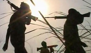 CRPF Jawans Killed in Encounter With Naxals in Jharkhand; Search Operation Underway
