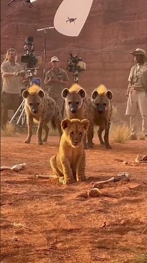 Simba lion king behind the scenes #lionking #simba#omg#unbelivable #viral #simba #cartoon #shorts