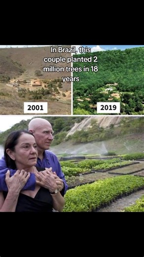 Incredible Reforestation Journey: 2 Million Trees Planted in Brazil