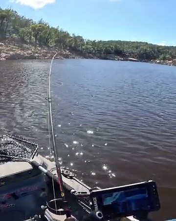 12K views · 184 reactions | Sean Bekkers geared up for chasing Murray...