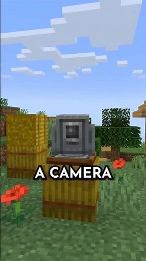 What if Minecraft had surveillance cameras