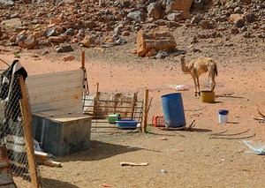 Jordan’s Bedouins take on the struggles of climate change