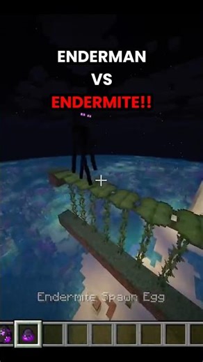 Enderman VS Endermite in Minecraft😱