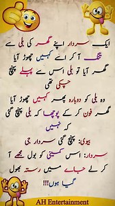 Saradr Aur Billi 😂 | funny urdu lateefy | urdu hindi jokes | laughing point | #funny #shortsreels #ukreels #usareels #comedyreels #comedy #funnymoments #funnyreels #comedia #funnyvideos #fun #usa #uk #Pakistan #punjab #lahore #karachi #jokes #sardar | AH Entertainment