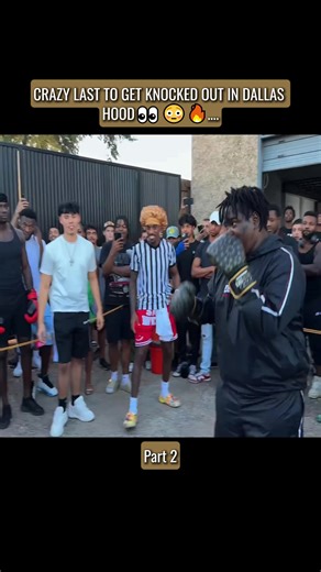 Exploring the World of Street Boxing