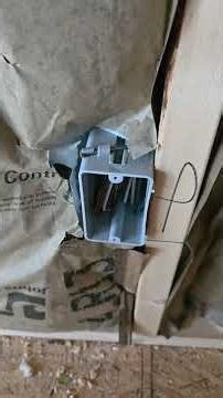 what you must do when insulting #bigdon