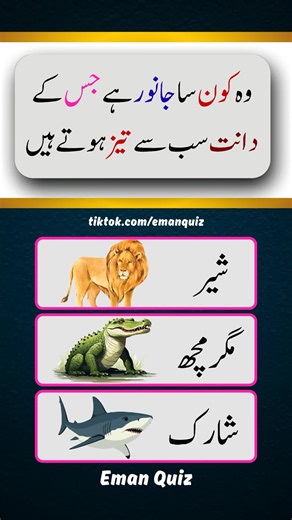 Animals Quiz: Test Your General Knowledge in Urdu