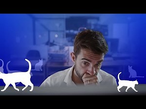 Cut through chaos with OpenText Project and Portfolio Management