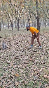very aggressive monkey #reels #monkey | Monkey Lover