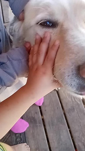 Heather Thomas on TikTok