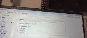 A CBC with differential evaluates which cells?Red and white b... | Filo