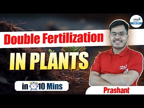 Double Fertilization in Flowering Plants | Class 10 Biology | Concepts Under 10 Mins