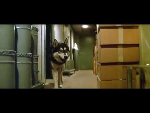 John Carpenter's The Thing takes a walk