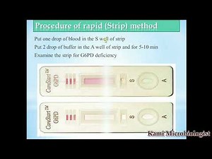 Rapid or strip method of G6PD enzyme blood test: lecture 4