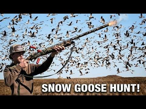 I Hunted Snow Geese For The First Time!