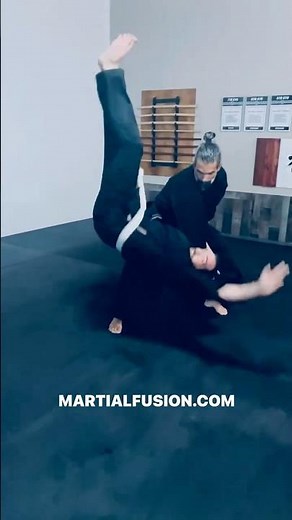 Aikido Martial Fusion Mawashi Geri Techniques