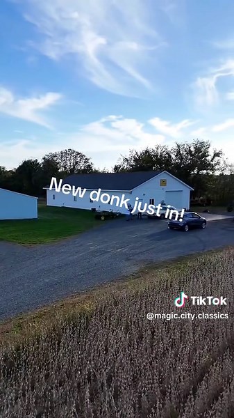 . Which year is your favorite donk? | donkeys