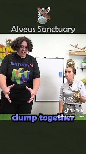 Learning About Snakes at Alveus Sanctuary