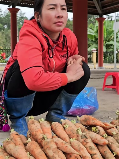 Harvesting Carrots: A Guide to Successful Gardening