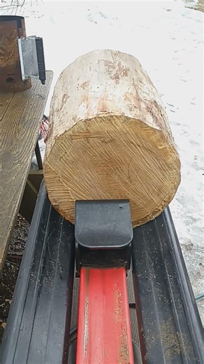 HARBOR FREIGHT 5TON ELECTRIC LOG SPLITTER #firewood #diy #harborfrieght #tree #tools #wood #nature