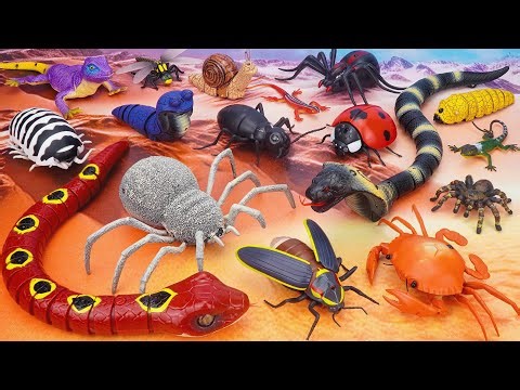 🦎toy asmr🦎 ZURU Alive Robotic Snake, RC Spider & Lizard Toy ASMR 🌟 Satisfying Unboxing Toys