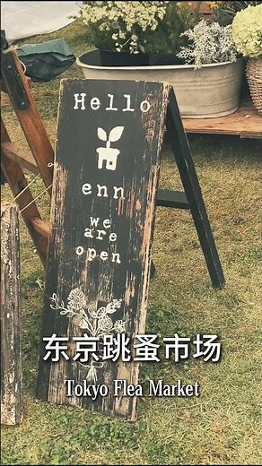 Tokyo November Flea Markets 2025 | Ultimate Autumn Antique & Vintage Guide｜11月東京最大戶外跳蚤市集预告｜秋季古物尋寶全攻略