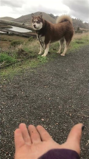 Orange: let me pee and I will meet you.