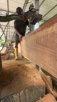“From Huge Tree to Perfect Planks | Wood Cutting Machine”
