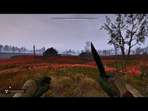 Stalker 2 - Poppy Field Root Cellar Location 📍