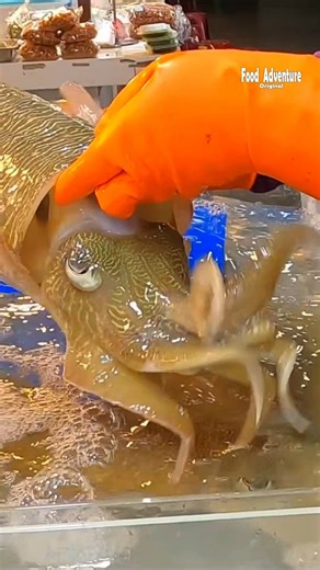 Live cuttlefish sashimi cut right before your eyes #LiveSeafood #Cuttlefish #Sashimi #fblifestyle | Food Adventure
