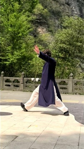 Wudang Tai Ji Quan 太极拳 | Traditional Daily Practice