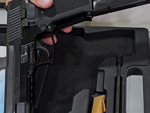 9 毫米西格绍尔 P229 与中国北方工业 PX - 3 手枪对比