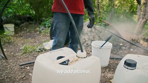 Hamiltons Pharmacopeia - "A Positive Methamphetamine Story"