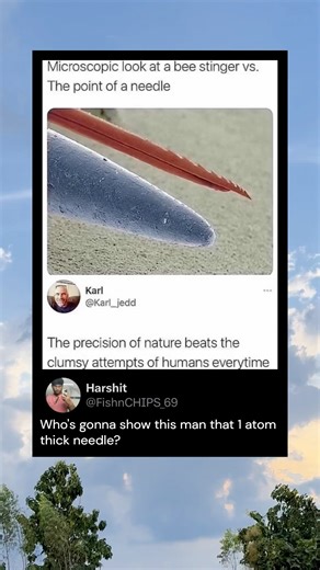 Microscopic look at a bee stinger vs.The point of a needle