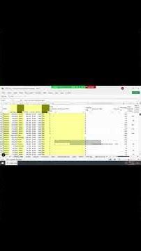 Prevent Duplicate SAP Exceptions Using VBA