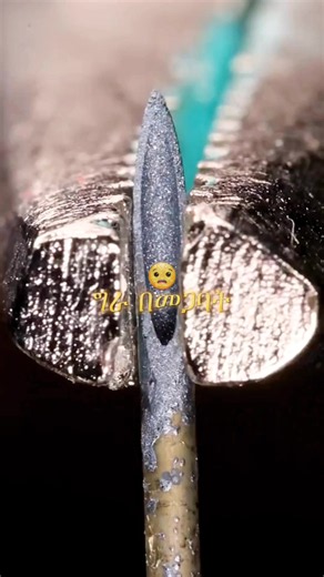 አስገራሚ እውነታዎች ✅#ethiopianviral_tik_tok🇪🇹🇪🇹🇪🇹🇪🇹 #foryoupage #creatorsearchinsight #habeshatiktok #100kfollowers