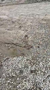 81K views · 963 reactions | Travis found a big Native American artifact on an Iowa River. #river #ARROWHEAD #artifacts #rockhound | Bison Bison Paleo Fossils | Facebook