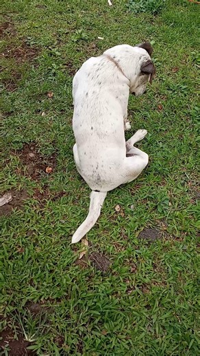 My buddy Sam, his a joy to be around, he brightens my day....