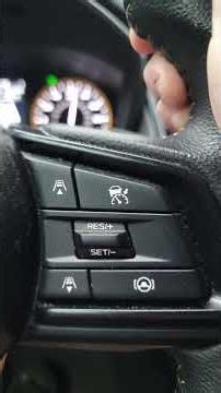 Cruise control and Lane detection/correction features on 2023 Subaru Outback (Wilderness edition).