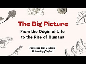 The Big Picture: From the Origins of Life to the Rise of Humans (Origins of Humankind #1)