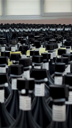 Raptor drone - це стабільний зв’язок. Сервісна підтримка. Реальні бойові випробування. Робота навіть у найскладніших умовах. 😎👌 Обирай найкраще! Обирай Raptor drone 👊 #дрони #дрон #військовідрони #реб #fpv #fvp #оптоволокно #оптоволоконнікотушки #збірдронів #україна | Raptor Drone