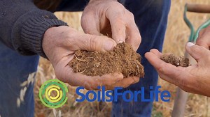 6.9K views · 74 reactions | Launching the Soils for Life documentary on #worldsoilday The film by Nviro Media (@suzcowley) outlines what we do @soilsforlife and honours the vision and commitment of Major General the Honourable Michael Jeffery. #mysoilhealthjourney | Soils for Life | Facebook