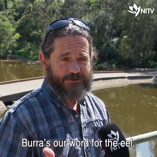 Darug Elder Uncle Chris Tobin explains the significance of Burramatta to Rachael Hocking #NITV #Parramatta | NITV