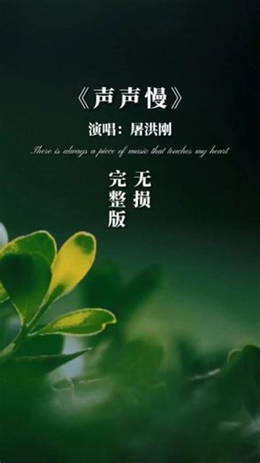 原唱声声慢完整版