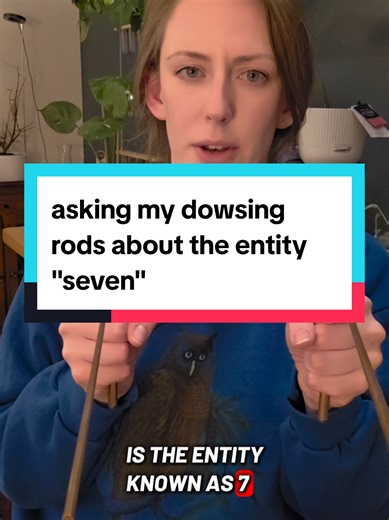 Exploring the Entity 'Seven' Through Dowsing Rods