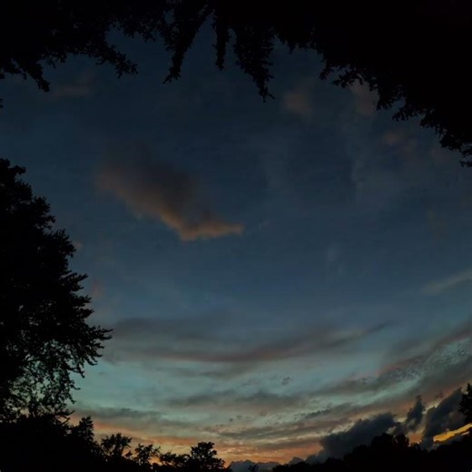 Independent Directions Synthesized #experimental #monkeystudies #nature #sunset #timelapse #gopro
