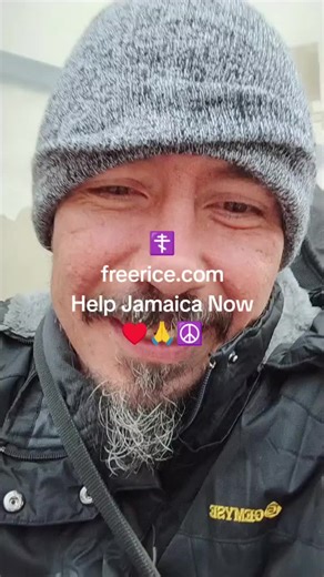 Freerice (@freericeendswar)’s videos with original sound - Freerice