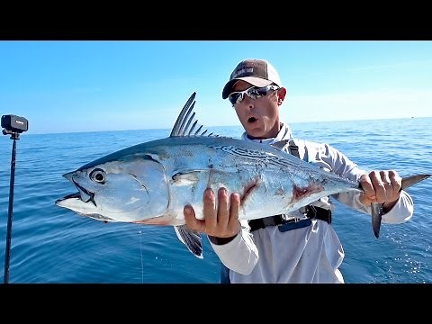 Most Epic Bonito Blitz Ever! ft. LakeForkGuy