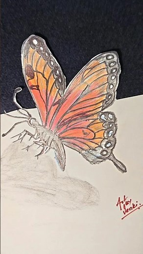 HOW TO DRAWING 3D BUTTERFLY 🦋#3D Drawing#3d Pencil #3d Art #butterfly Drawing #3D drawing Butterfly