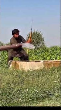 #timelapse, start to finish alone build log cabin (wooden house), how to build wooden cabin,()